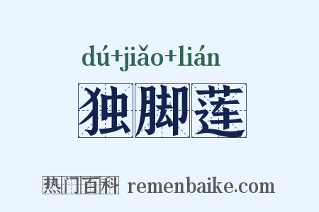 独脚莲是什么意思的图片